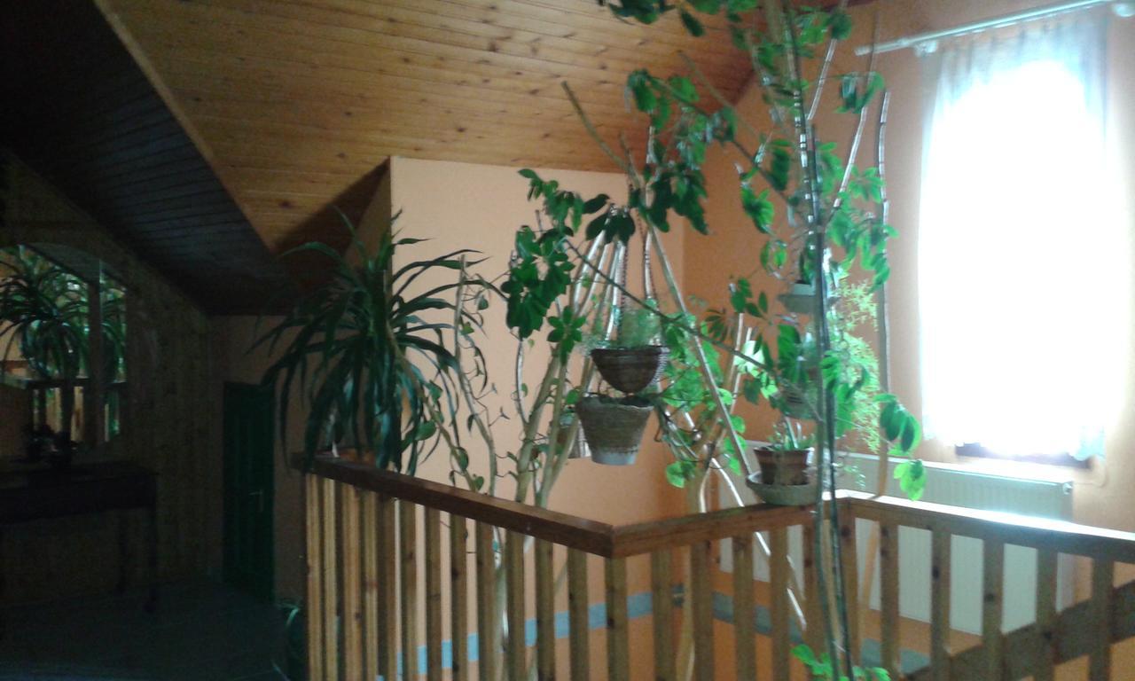 Vajdácska Kisdiofa Panzio Es Vendeglo Bed & Breakfast エクステリア 写真